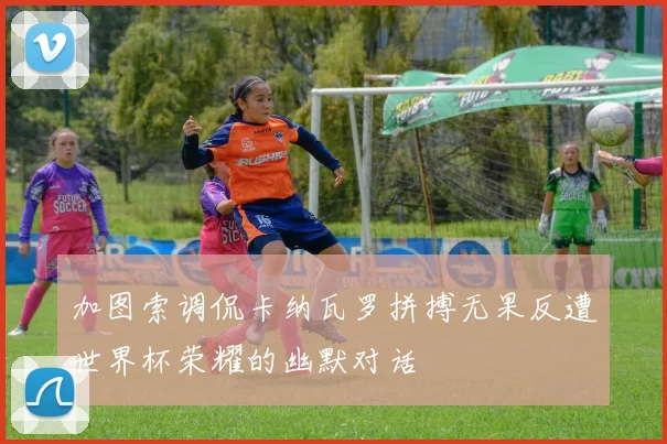 加图索调侃卡纳瓦罗拼搏无果反遭世界杯荣耀的幽默对话