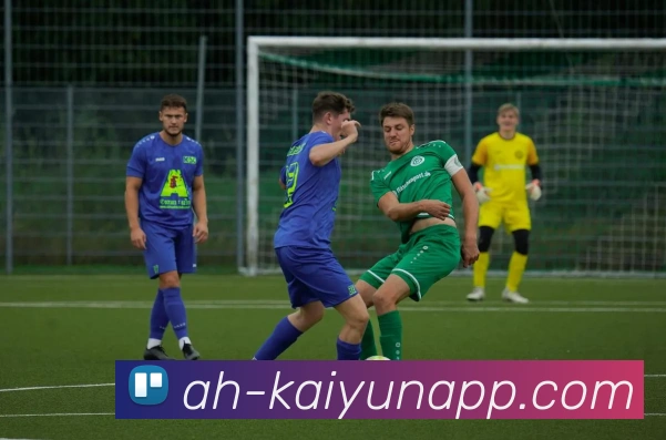 开云体育服务体系